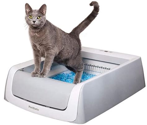 pet safe electric litter box|best litter for petsafe box.